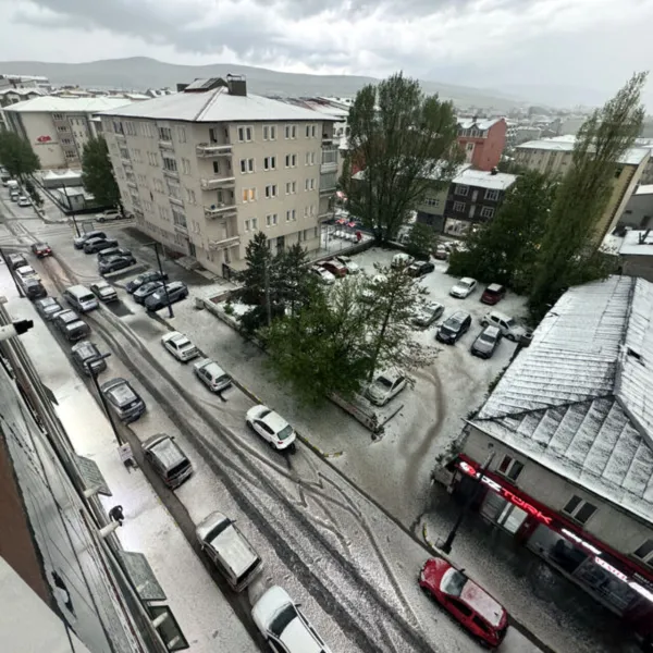 Ardahan'da şiddetli sağanak ve dolu etkili oldu