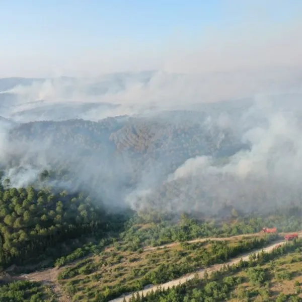 Balıkesir'deki orman yangınlarına ilişkin 5 gözaltı