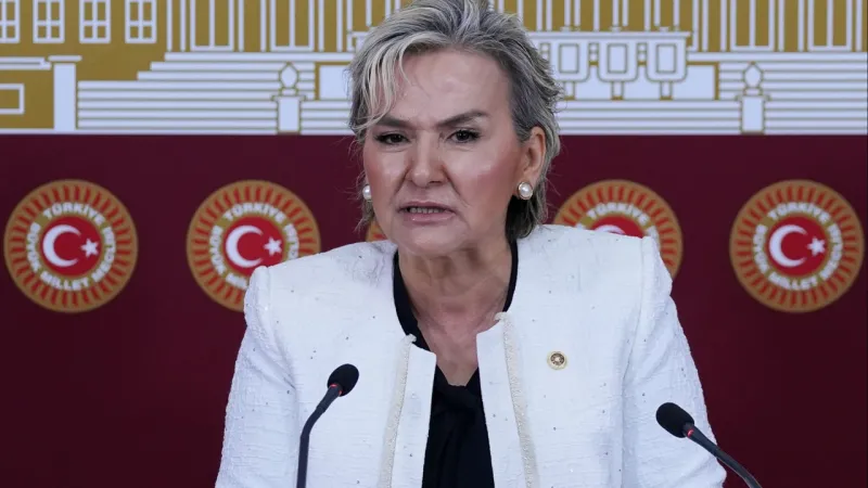 CHP, “Hayvan Bakımevleri İzleme ve Değerlendirme Komisyonu” kurdu