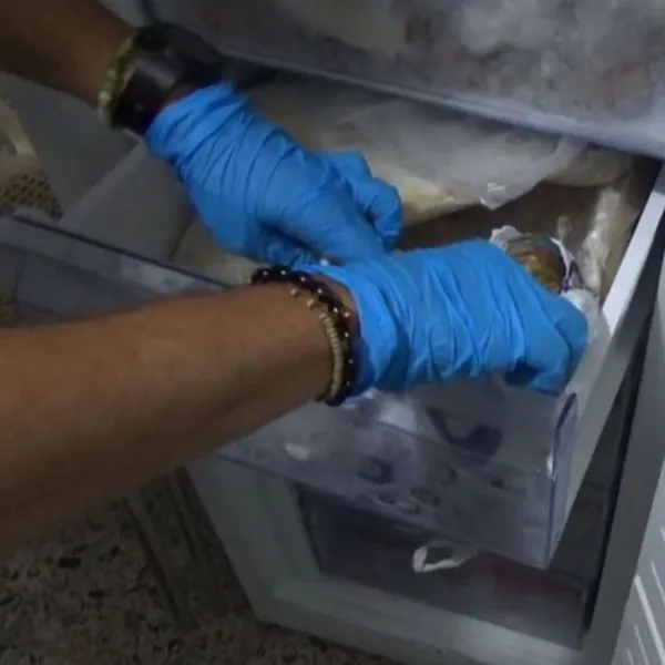 Derin dondurucudan 85 bin avro çıktı!