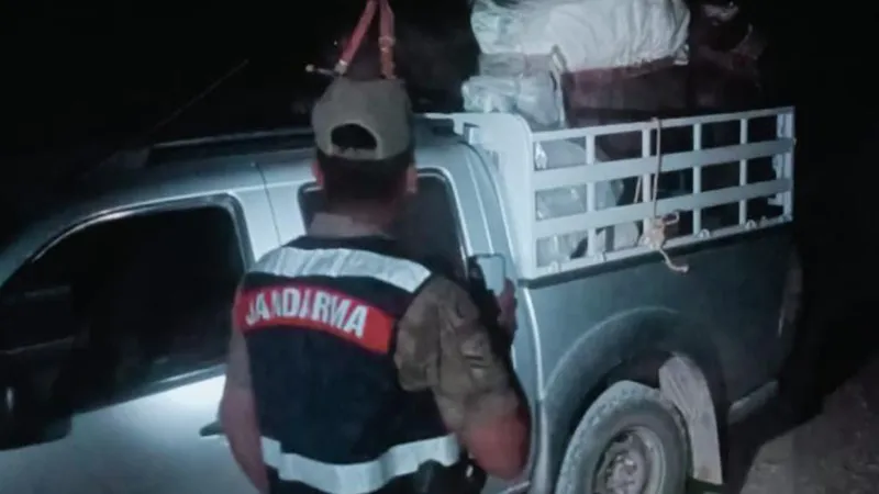Tunceli'de Dağ Sarımsağı Operasyonu! Jandarma Alarmda!