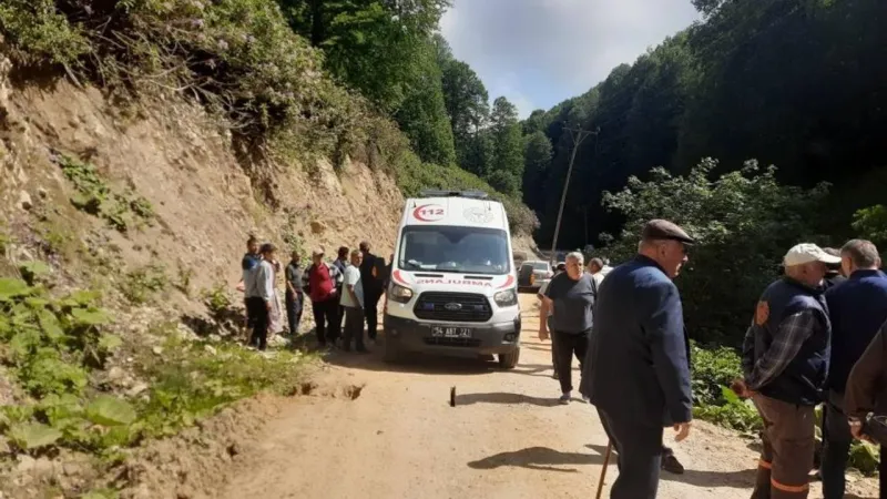 Kontrolden çıkan pat pat, dereye devrildi: Yaralılar var