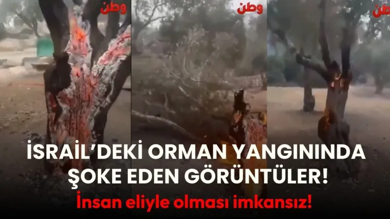 İsrail'de Orman Yangını: Ağaçlar Kökünden Alev Aldı! Şoke Eden Görüntüler!