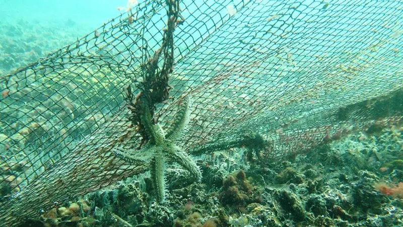 Karaburun'da Denizden Çıkan Korkunç Gerçek! 1,5 Ton Hayalet Ağ!