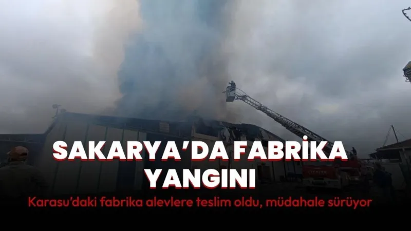 Karasu'da Fındık Fabrikası Alevlere Esir Düştü! Son Durum