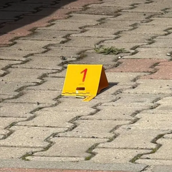 Kocaeli'de Komşu Kavgası Cinayetle Sonuçlandı: 1 Ölü, 3 Yaralı