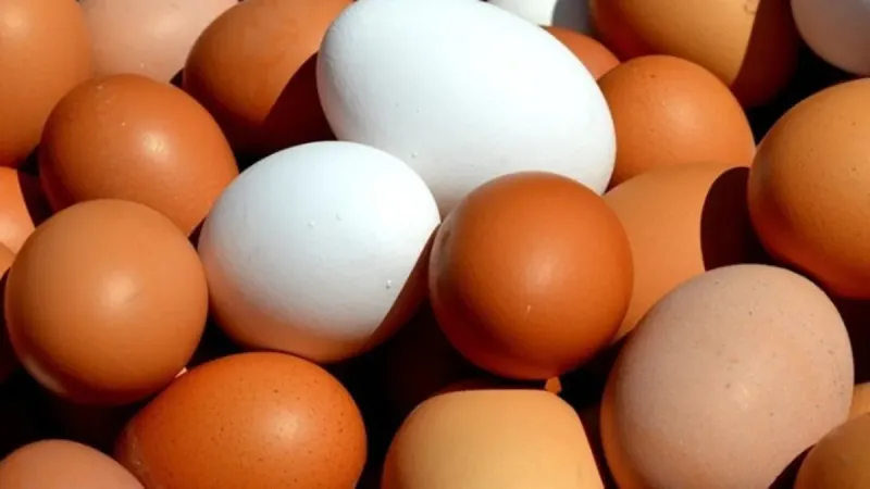 Resmi Gazete'de yayımlandı! Sofralık yumurta ihracatına muafiyet düzenlemesi