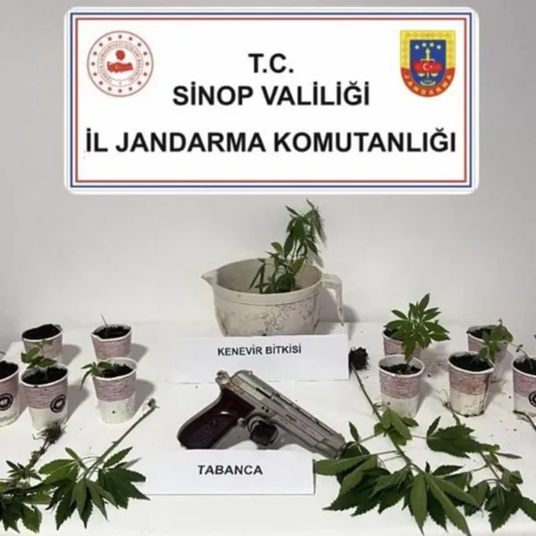 Sinop'ta Şok Baskın! Uyuşturucu Operasyonu ve Gözaltılar