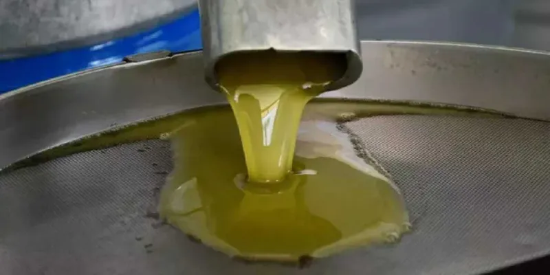 Toprak ıslandı hasat başladı: Birçok hastalığa iyi geliyor