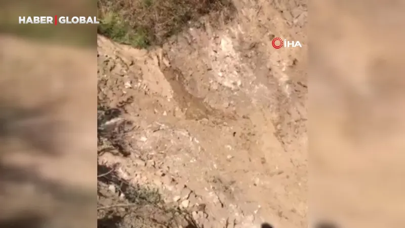 Denizli'de Yaban Hayatına Can Suyu: O Göletler Kimin Eseri?